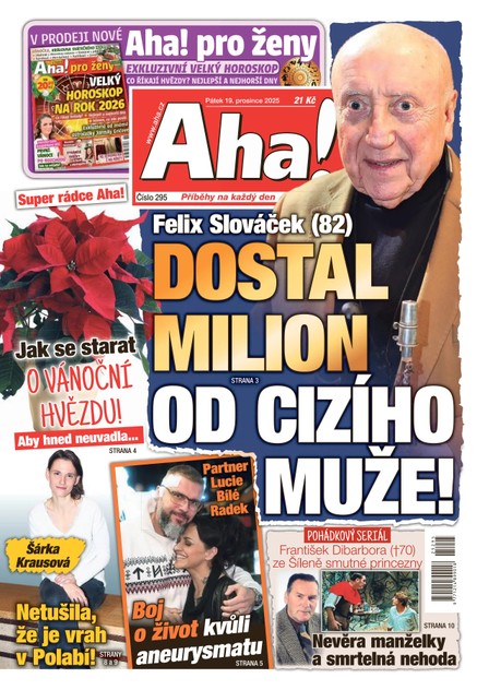 AHA! - 19.12.2025