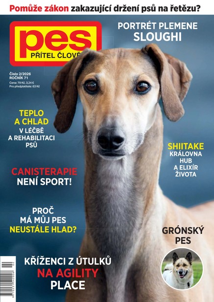 Pes přítel člověka 2/2026