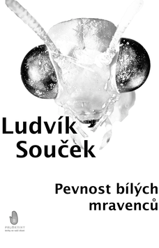 Pevnost bílých mravenců