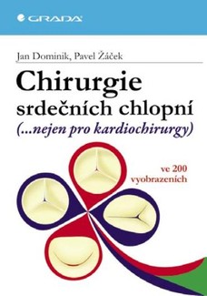 Chirurgie srdečních chlopní