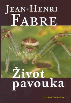 Život pavouka