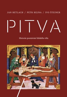 Pitva