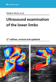 Ultrasound examination of the lower limbs