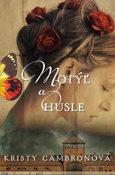 Motýľ a husle