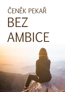 Bez ambice