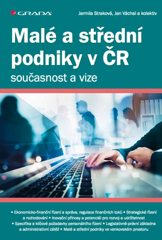 Malé a střední podniky v ČR – současnost a vize