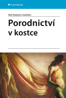 Porodnictví