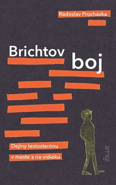 Brichtov boj