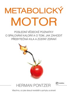 Metabolický motor