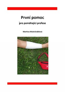 První pomoc pro pomáhající profese