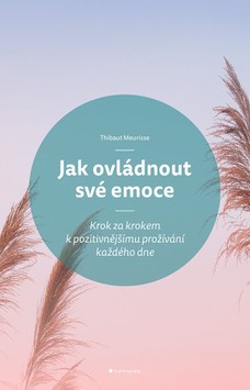 Jak ovládnout své emoce