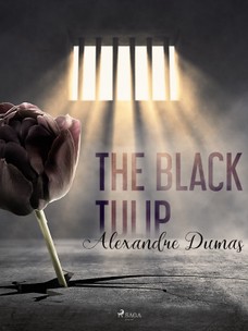 The Black Tulip