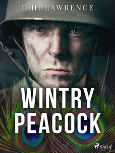 Wintry Peacock