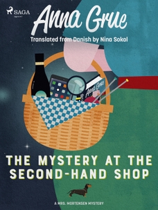 The Mystery at the Second-Hand Shop