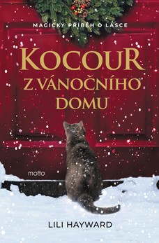 Kocour z vánočního domu