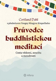Průvodce buddhistickou meditací
