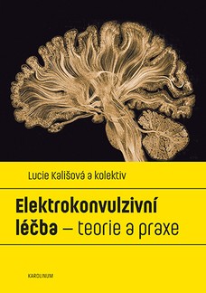 Elektrokonvulzivní léčba – teorie a praxe