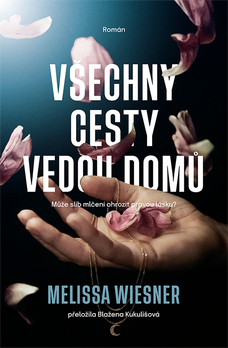 Všechny cesty vedou domů