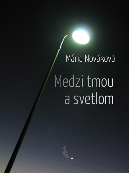 Medzi tmou a svetlom