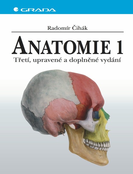 Anatomie 1