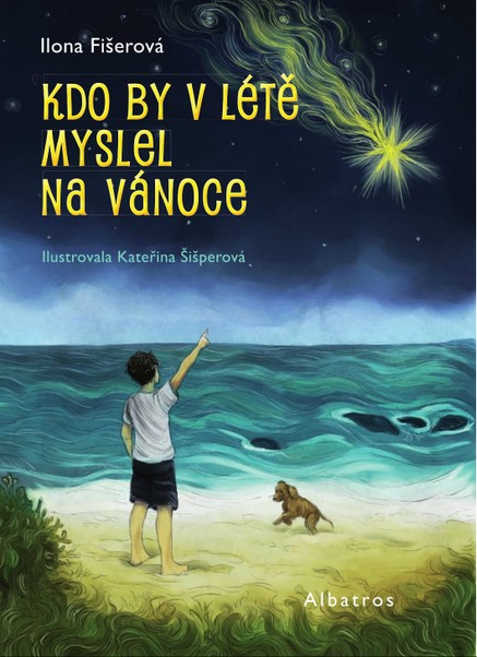 Kdo by v létě myslel na Vánoce