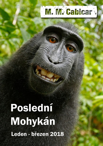 Poslední Mohykán