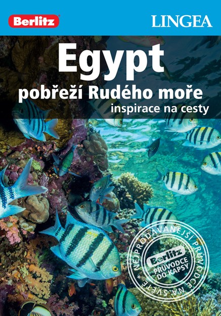 Egypt, pobřeží Rudého moře