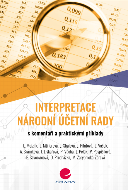 Interpretace Národní účetní rady