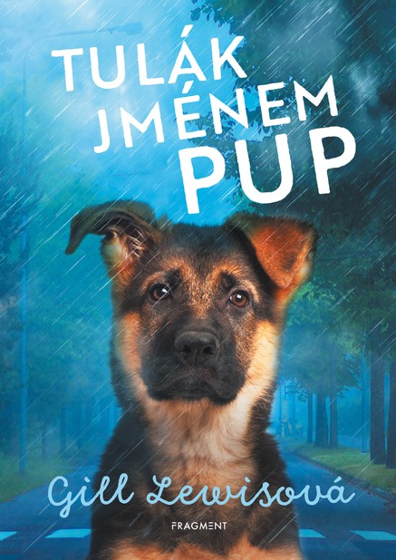 Tulák jménem Pup