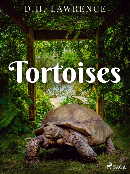 Tortoises