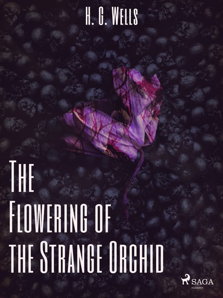 The Flowering of the Strange Orchid