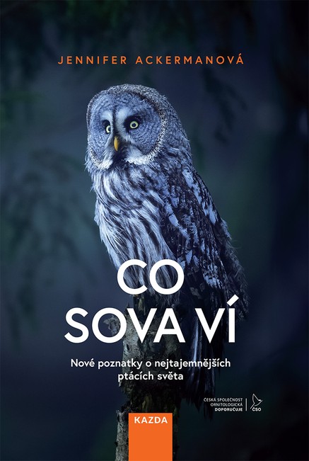 Co sova ví