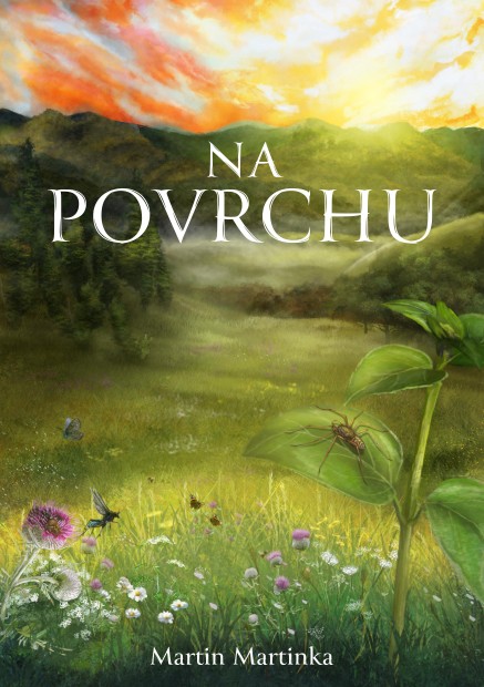 Na povrchu