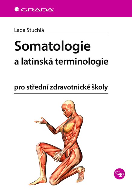 Somatologie a latinská terminologie