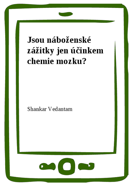 Jsou náboženské zážitky jen účinkem chemie mozku?